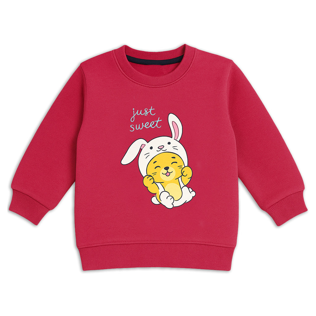 Pack of Children Character Sweatshirt - 4 Year to 10 Year