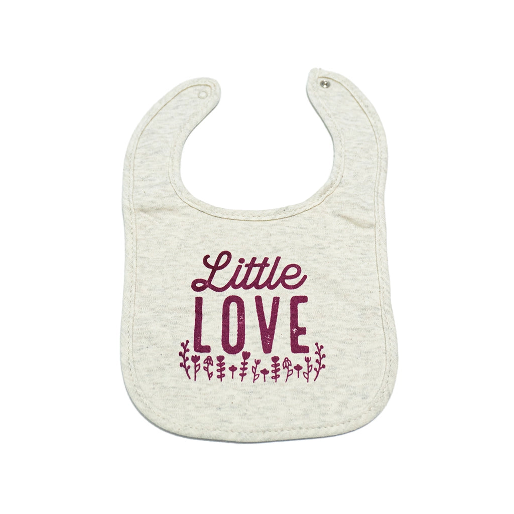 Little Love - Hudson Baby 3 Bibs & 2 Socks Set