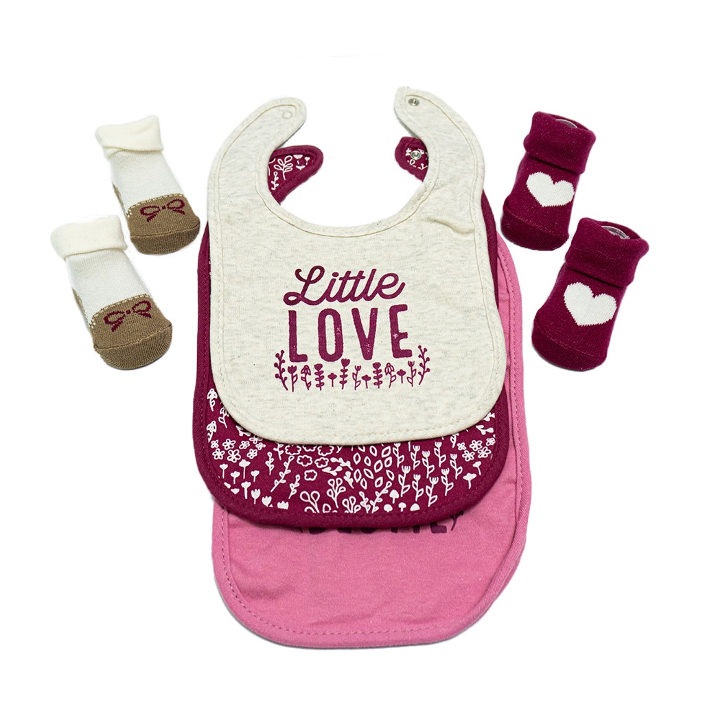 Little Love - Hudson Baby 3 Bibs & 2 Socks Set