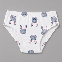 Kids Cotton Underwear